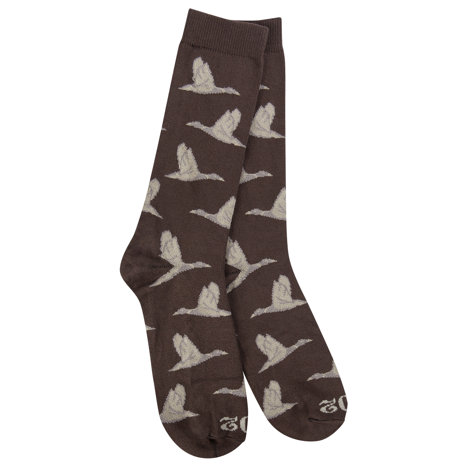 Transit Sock Collection