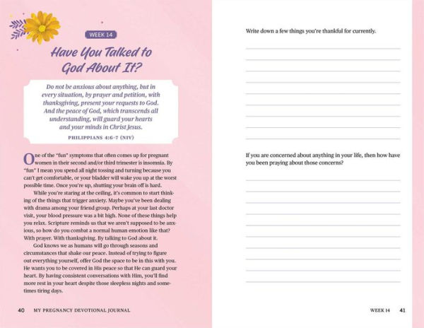 My Pregnancy Devotional Journal
