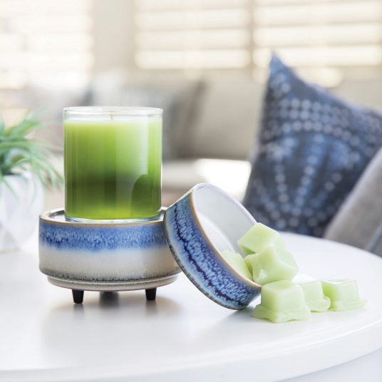 Horizon 2-In-1 Classic Warmer