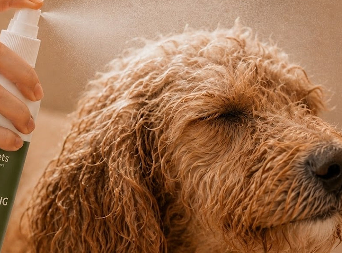 RC Dog Detangling Spray