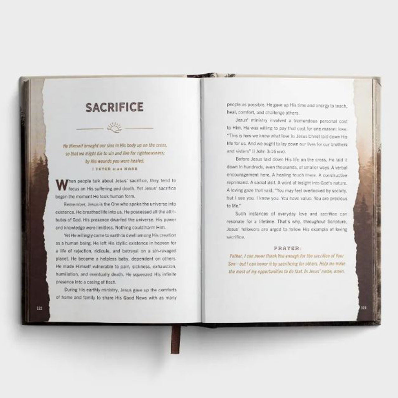 Designed for Greatness Devotional