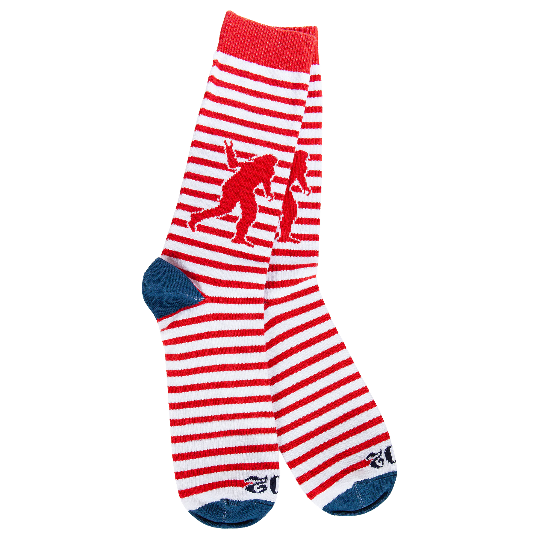 WSS Transit Collection Socks