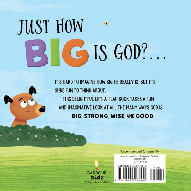 How Big is God Book