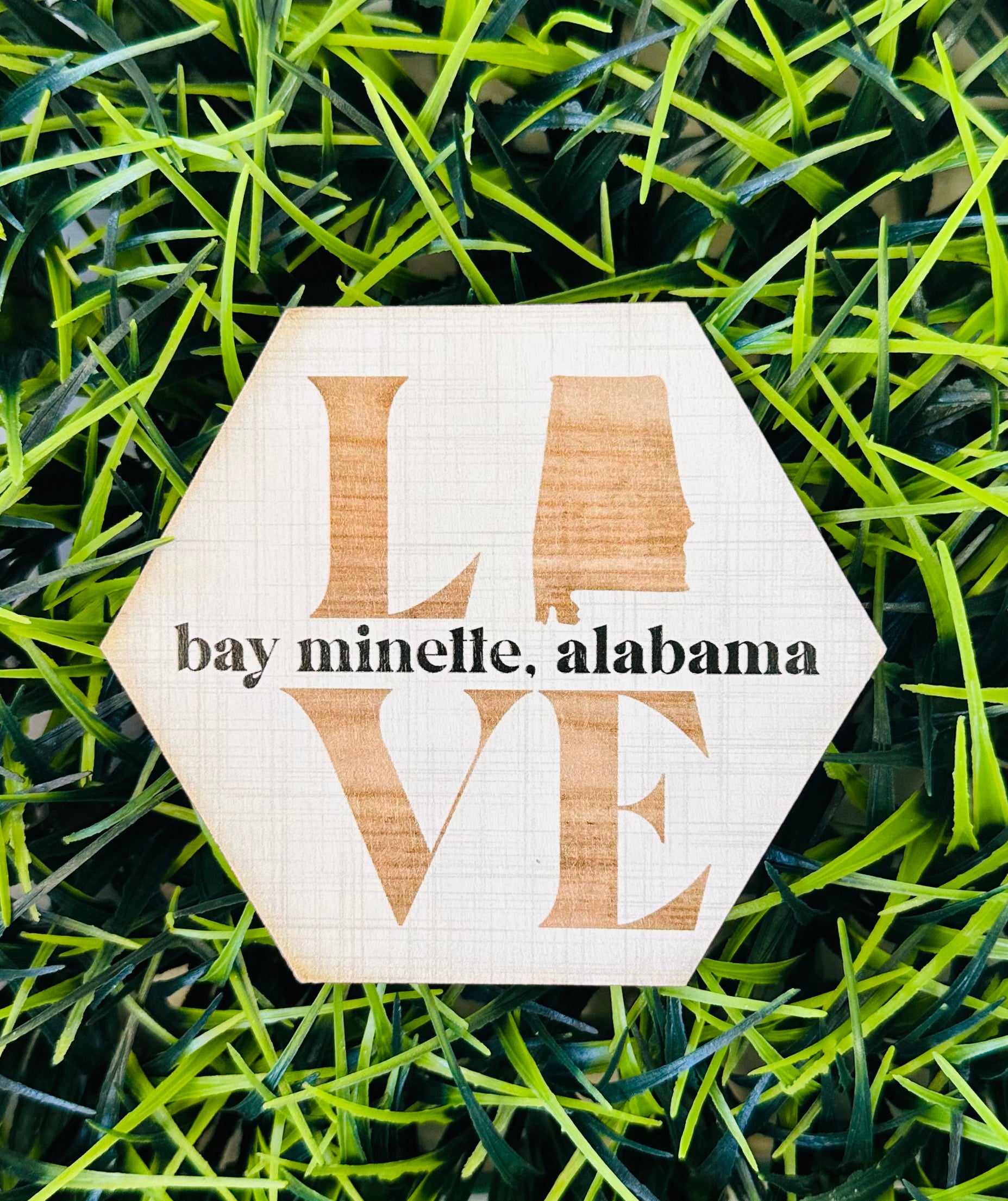 Bay Minette Magnet/Coasters