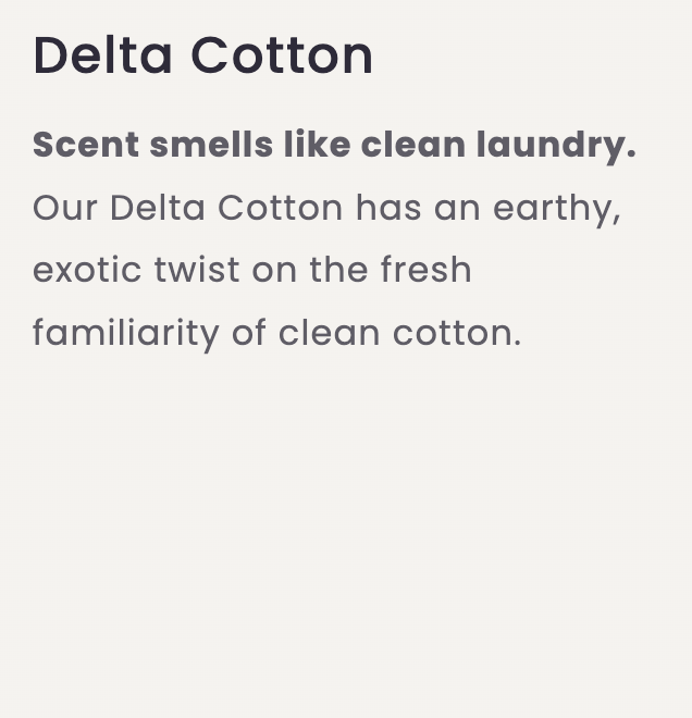 Mississippi Candle Co.|Car Diffuser