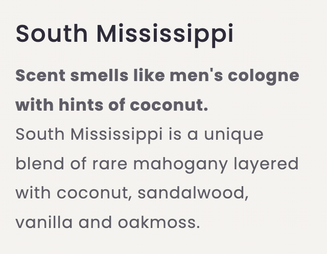 Mississippi Candle Co.|Car Diffuser