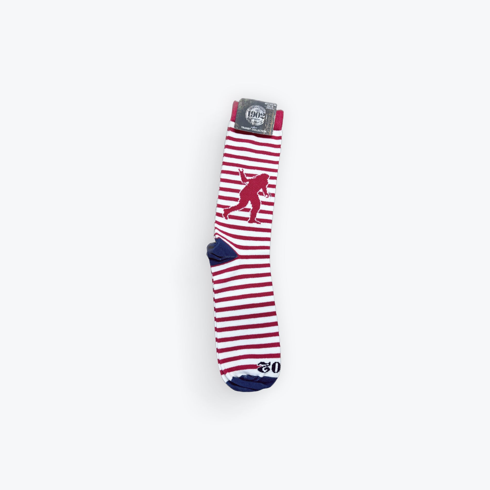 WSS Transit Collection Socks