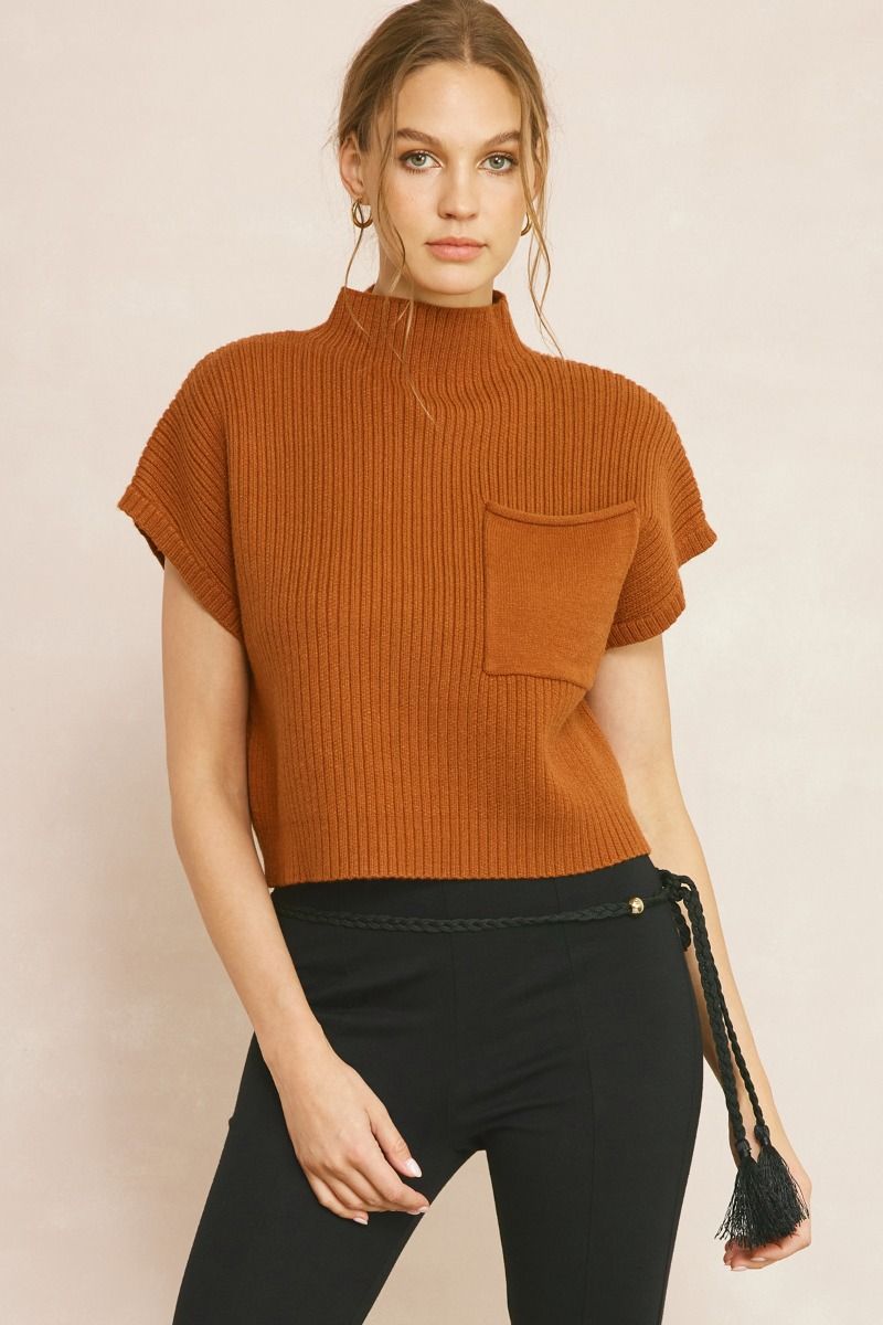 Sweater Cropped Mock Top