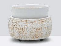 Swan Creek Wax Melter