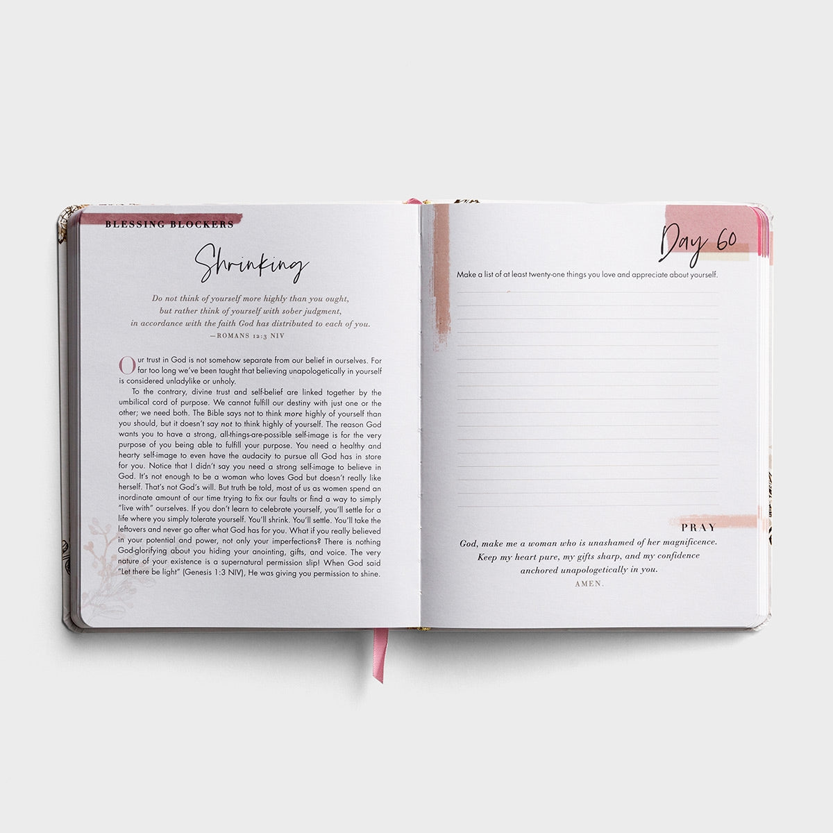 100 Day Devotional Journal