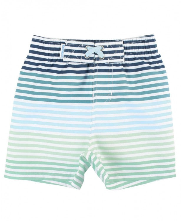 Coastal Stripe Swim Trunks